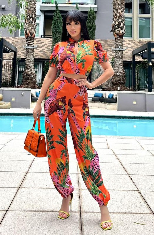 Set Tiger Orange